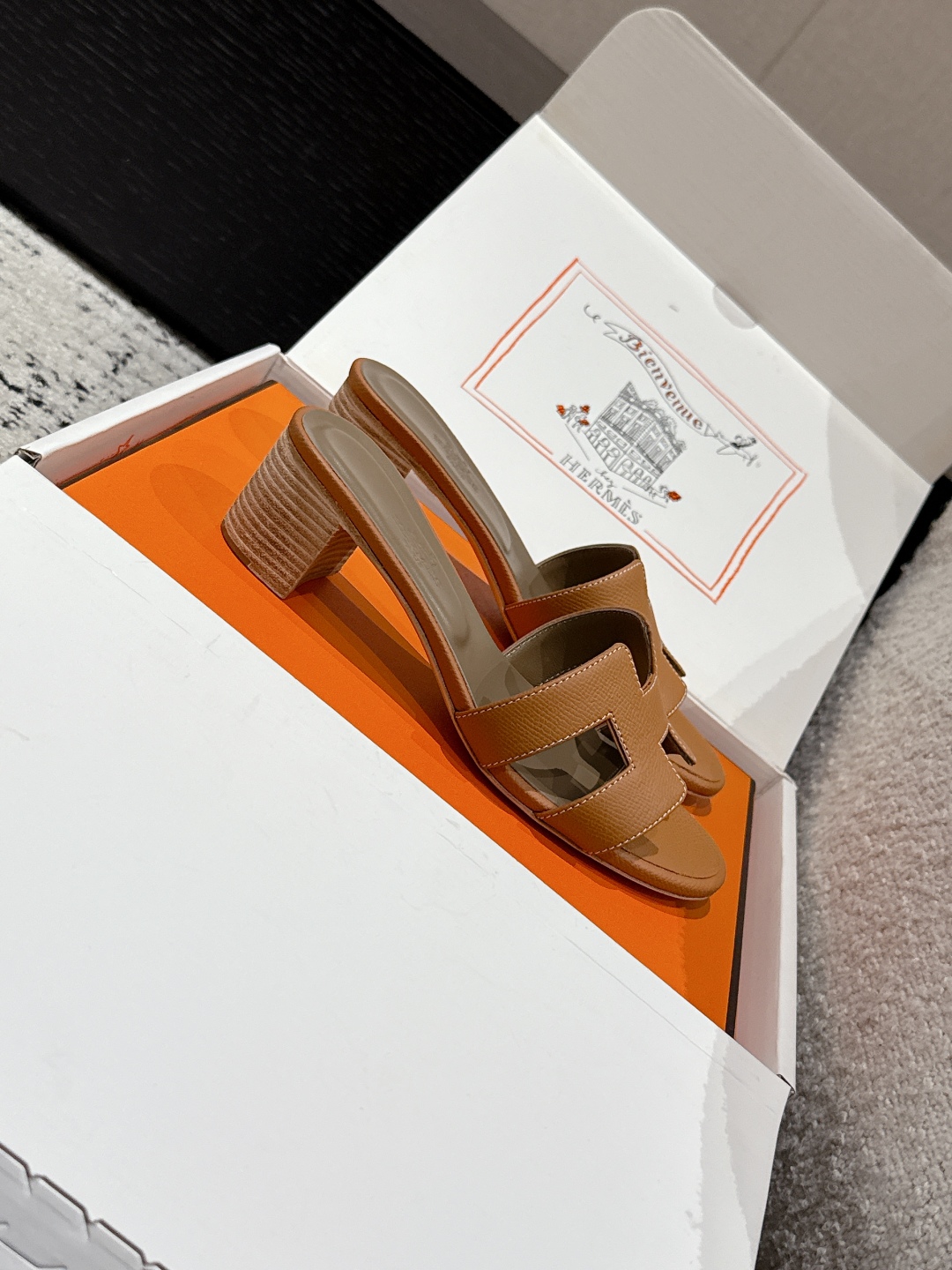 HERMES 01289 HERMES 01289
