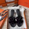 HERMES 01299