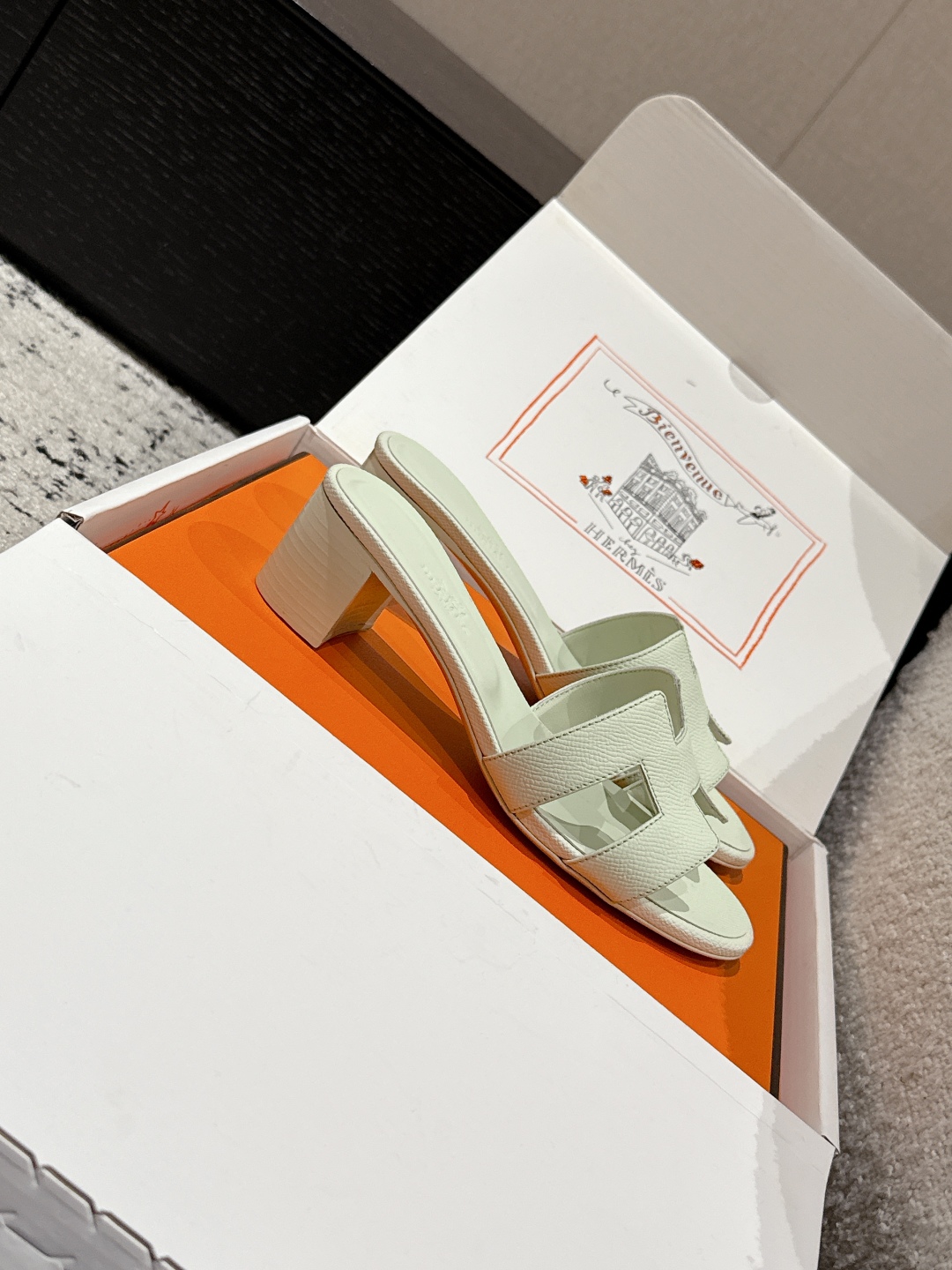 HERMES  01319