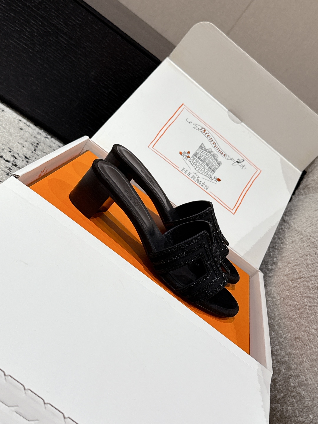 HERMES 01369 HERMES 01369