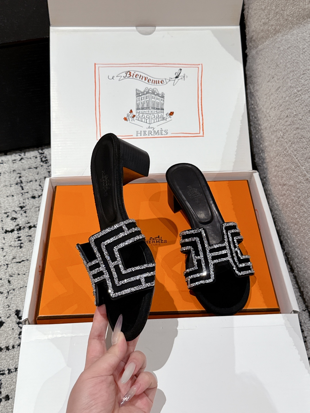 HERMES 01379 HERMES 01379