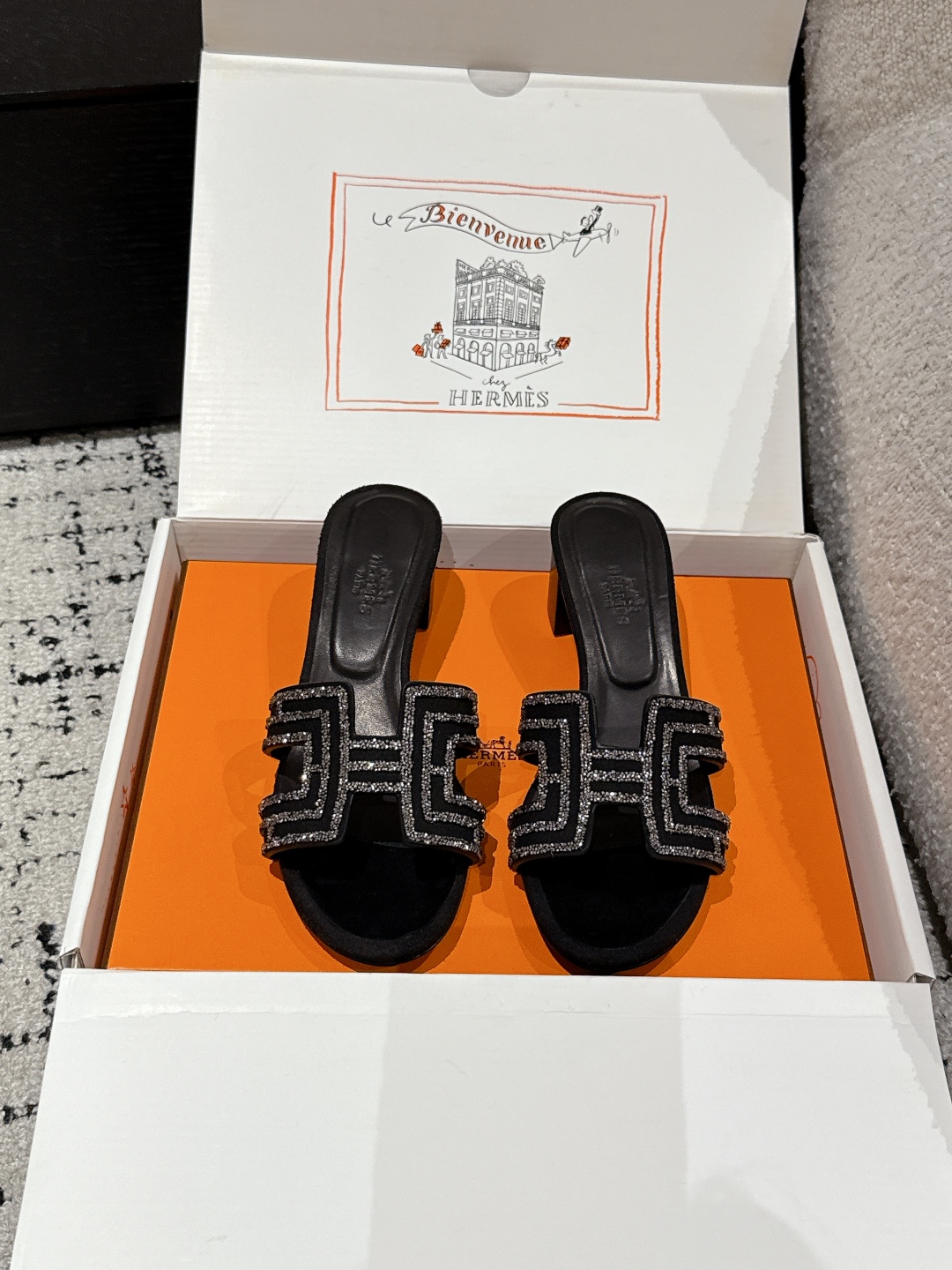 HERMES 01389 HERMES 01389