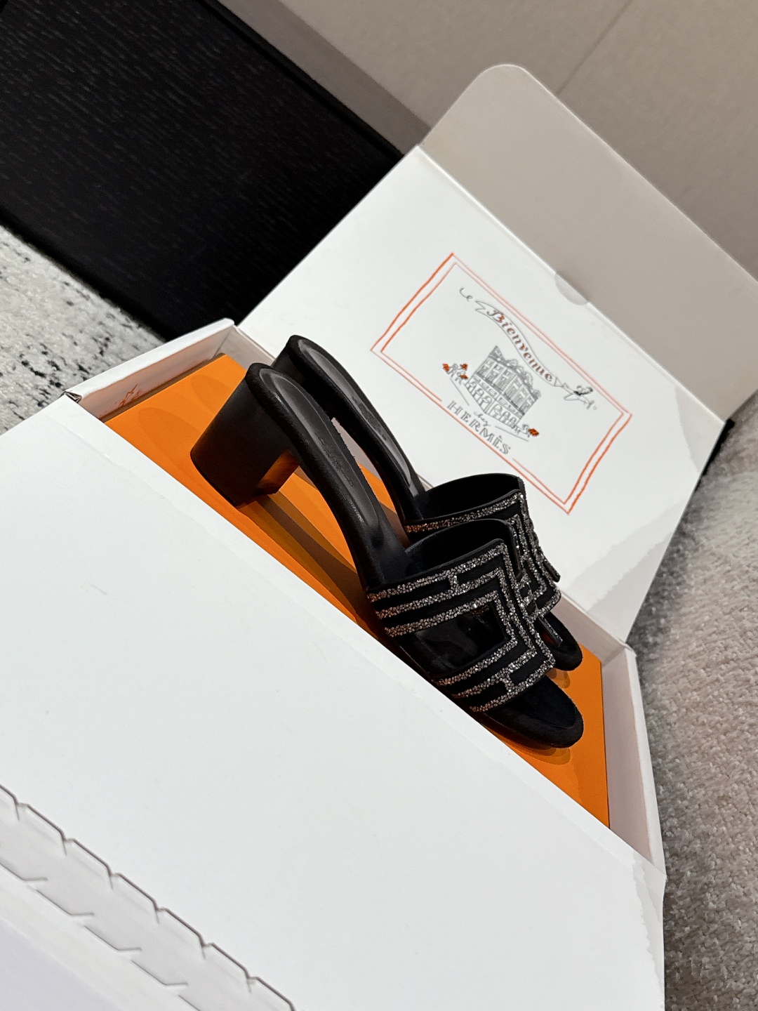 HERMES 01389 HERMES 01389