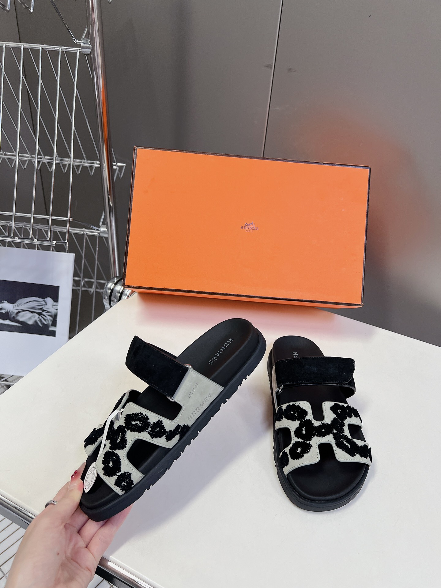 HERMES 01399