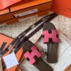 HERMES 01399