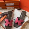 HERMES 01399