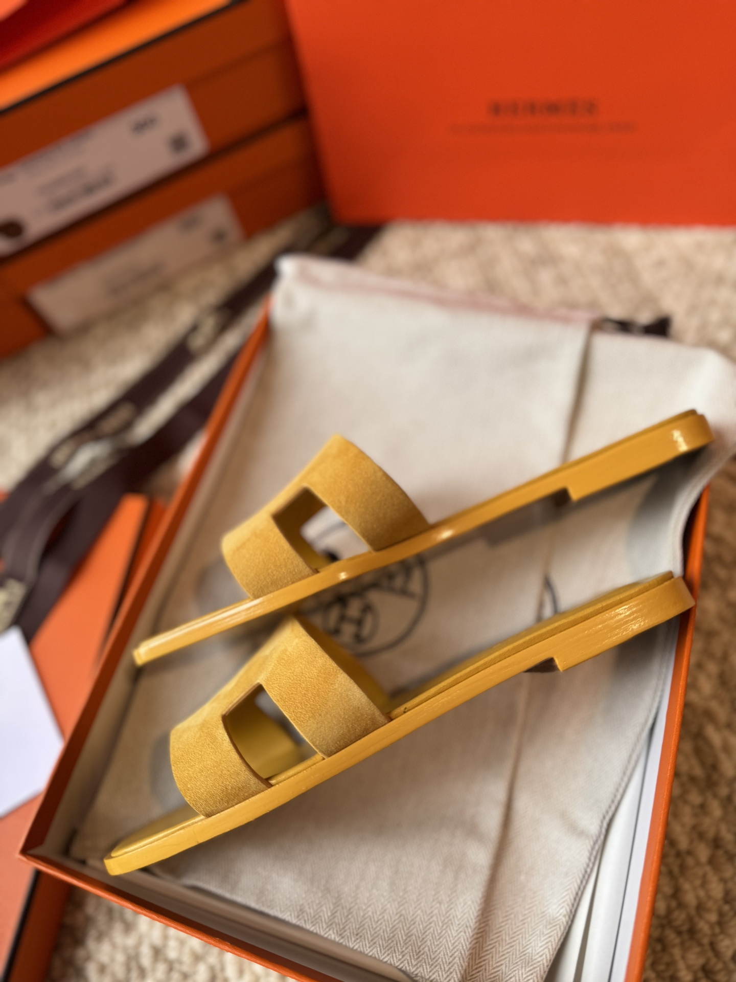 HERMES 01449