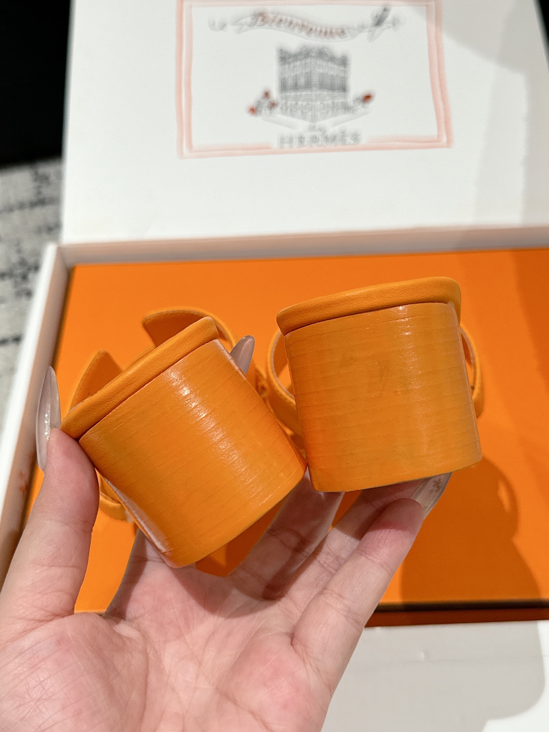 HERMES  01459