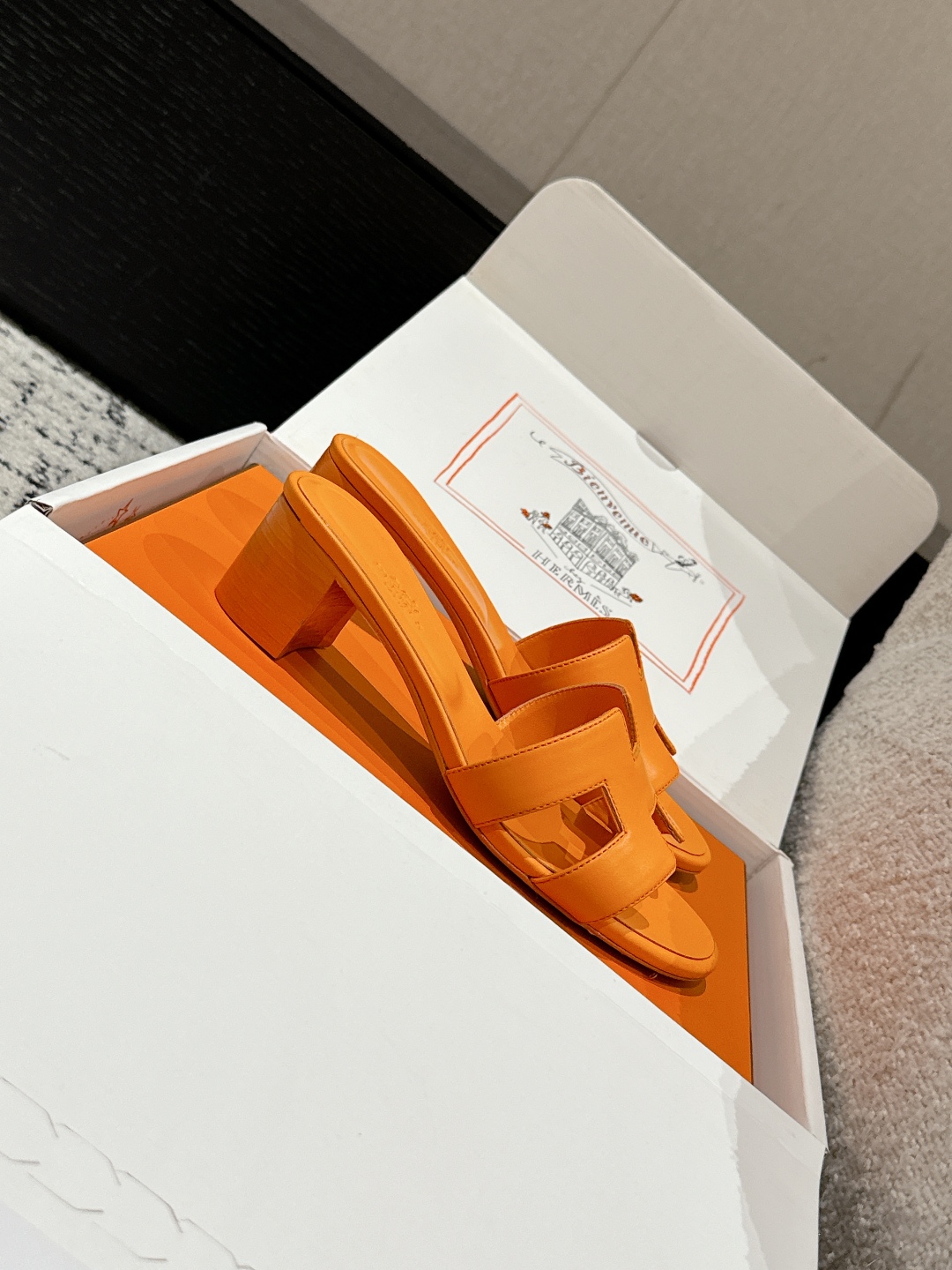 HERMES  01459
