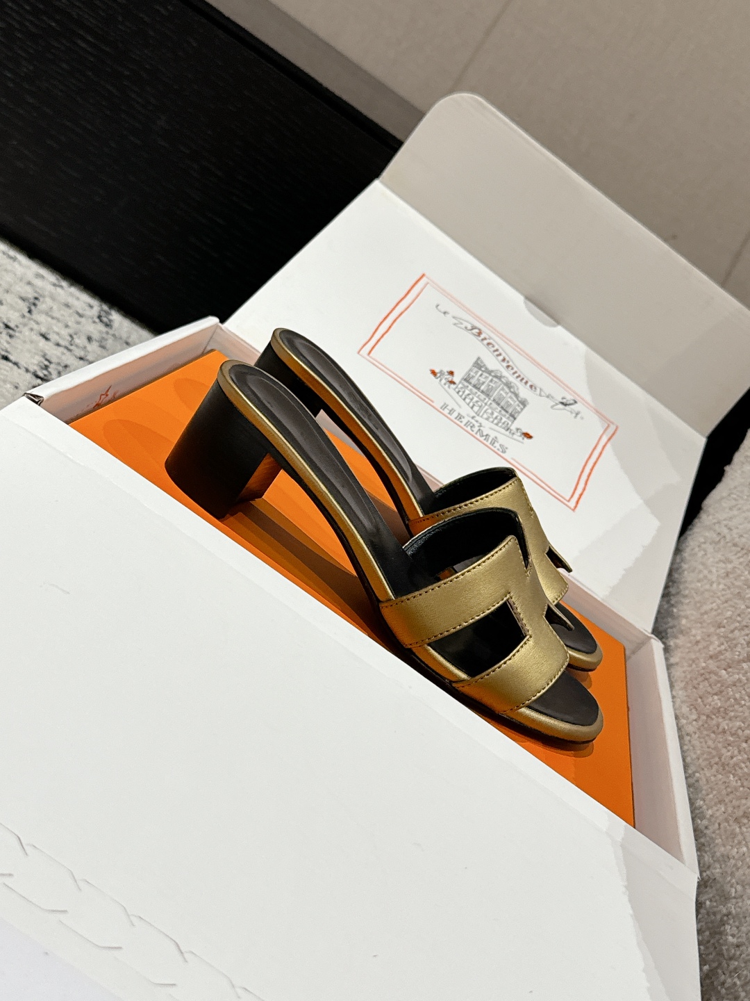 HERMES 01469 HERMES 01469