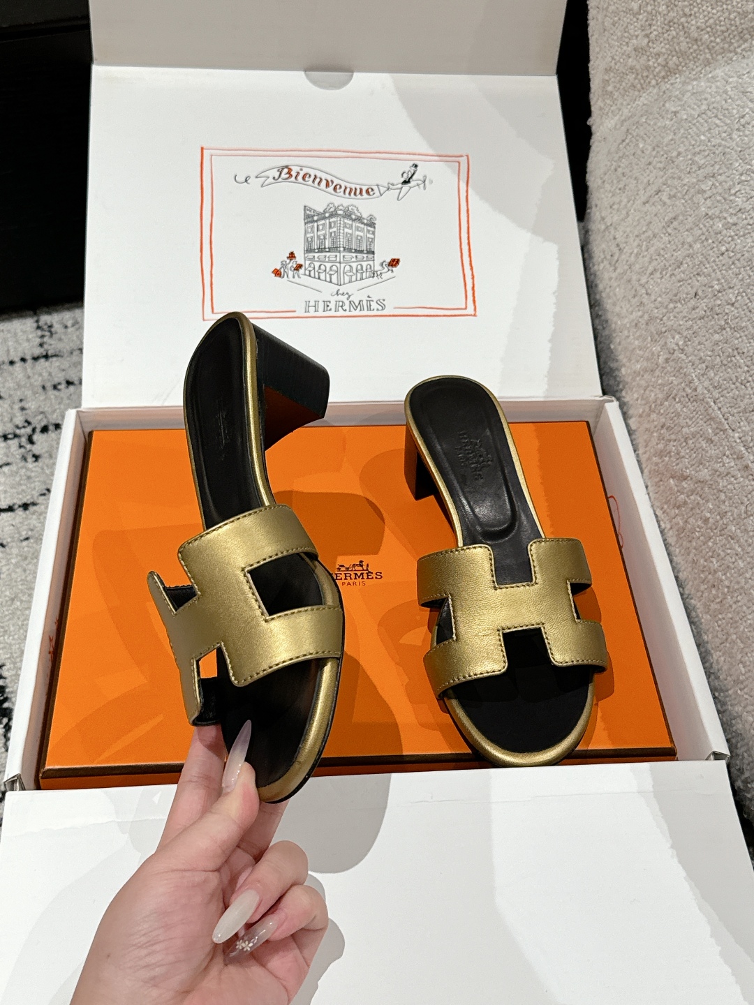 HERMES 01469 HERMES 01469