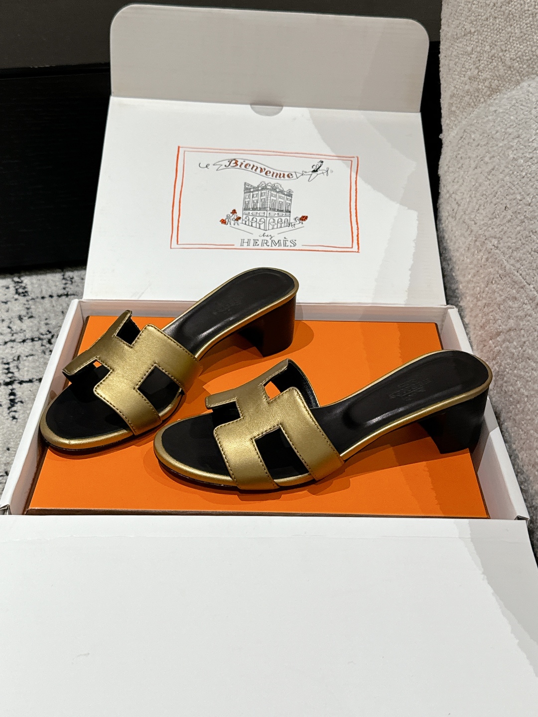 HERMES 01469 HERMES 01469