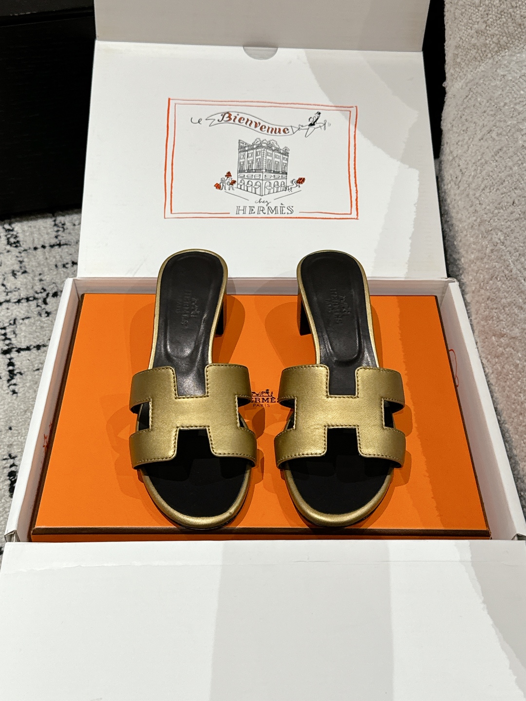 HERMES 01469 HERMES 01469