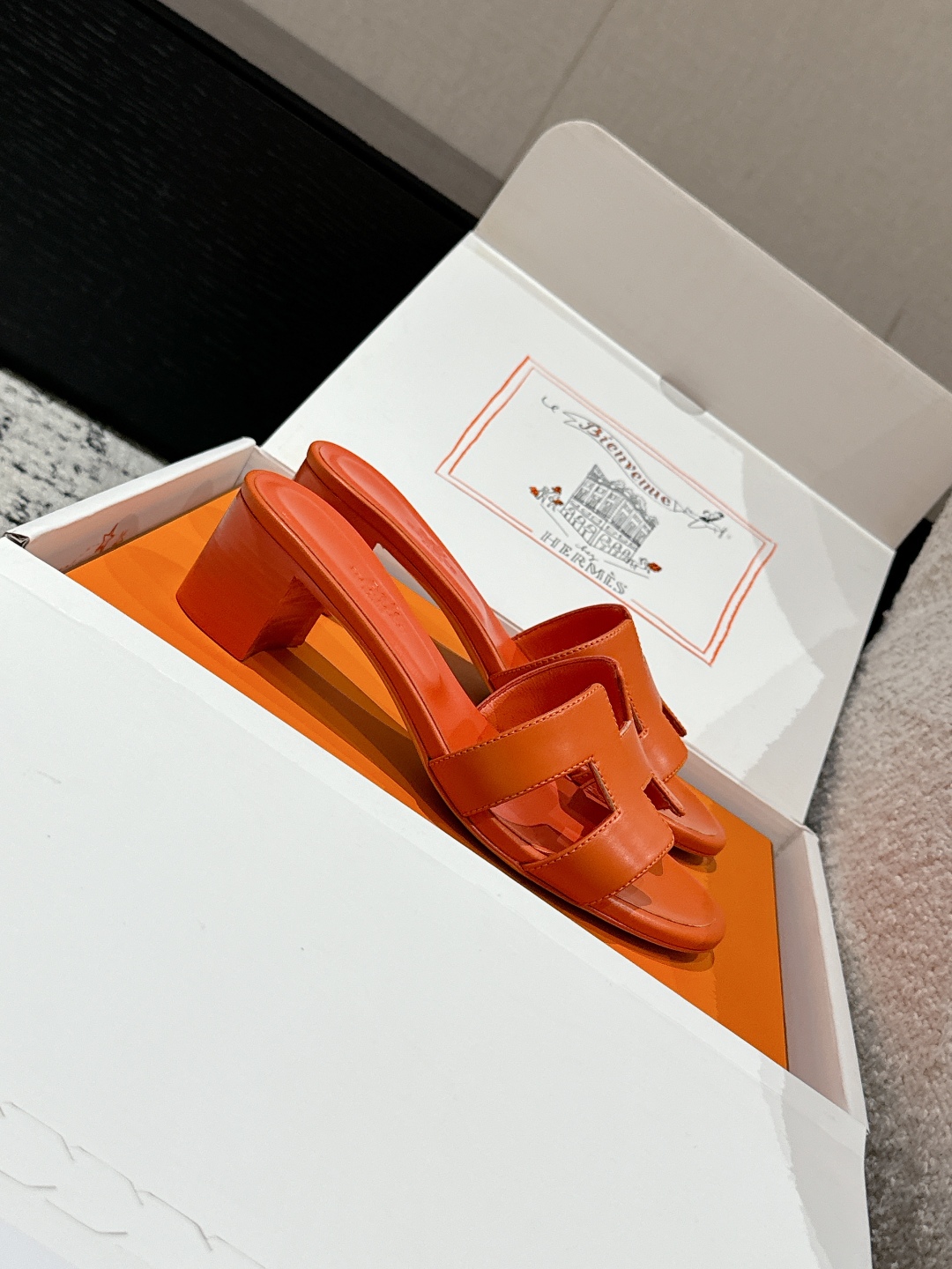 HERMES 01489 HERMES 01489