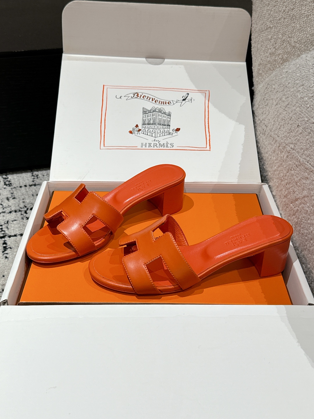 HERMES 01489 HERMES 01489