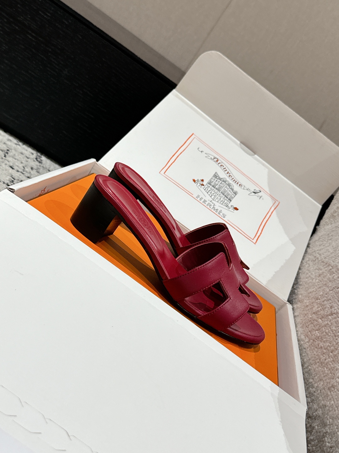 HERMES  01499
