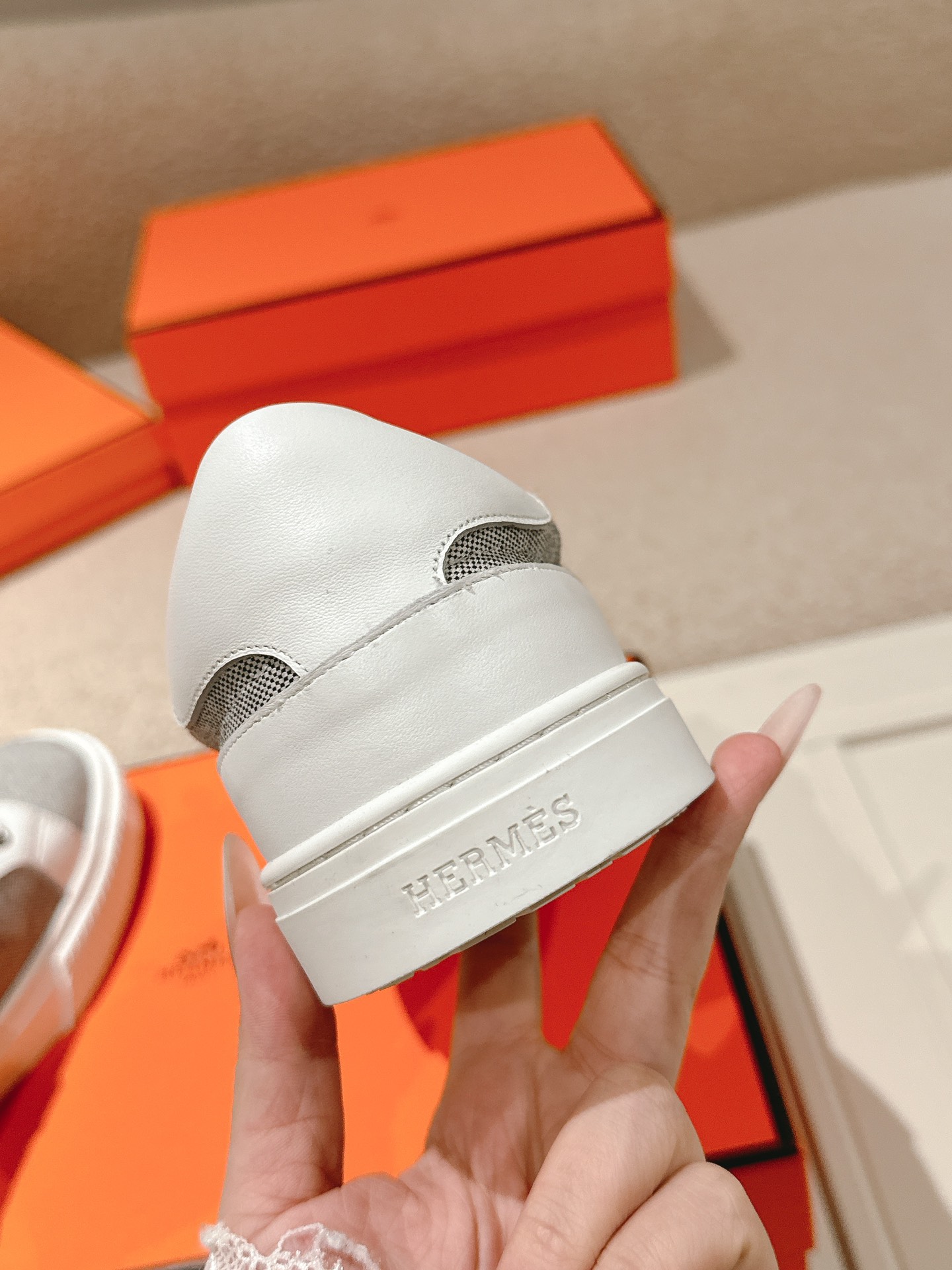 HERMES  01499