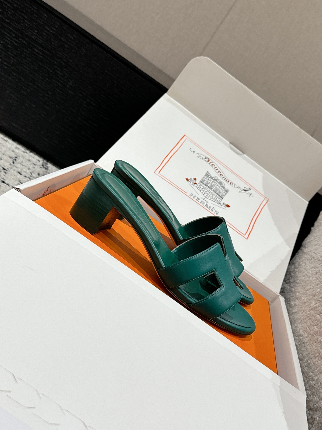 HERMES 01519 HERMES 01519