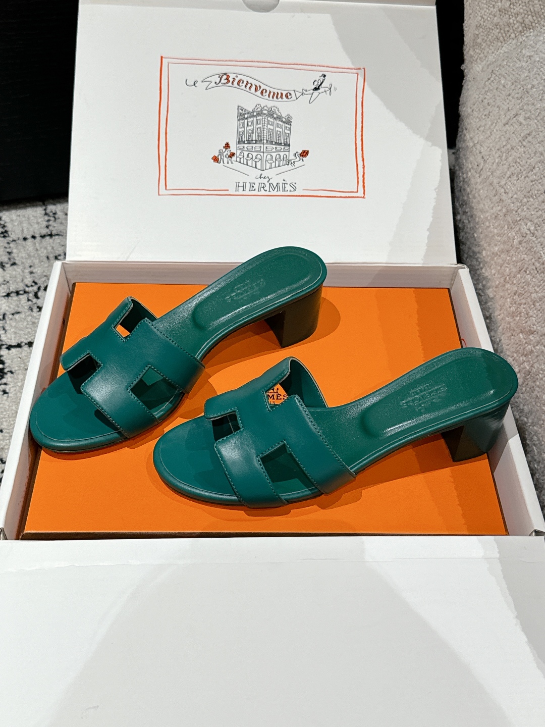 HERMES 01519 HERMES 01519