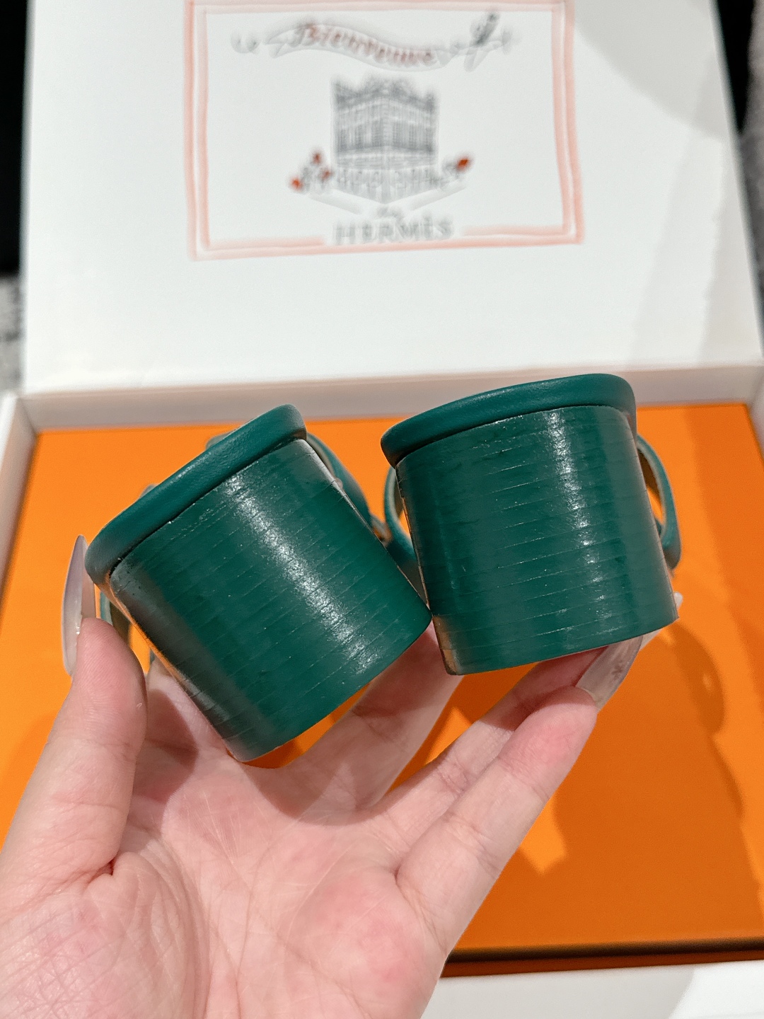 HERMES 01519 HERMES 01519
