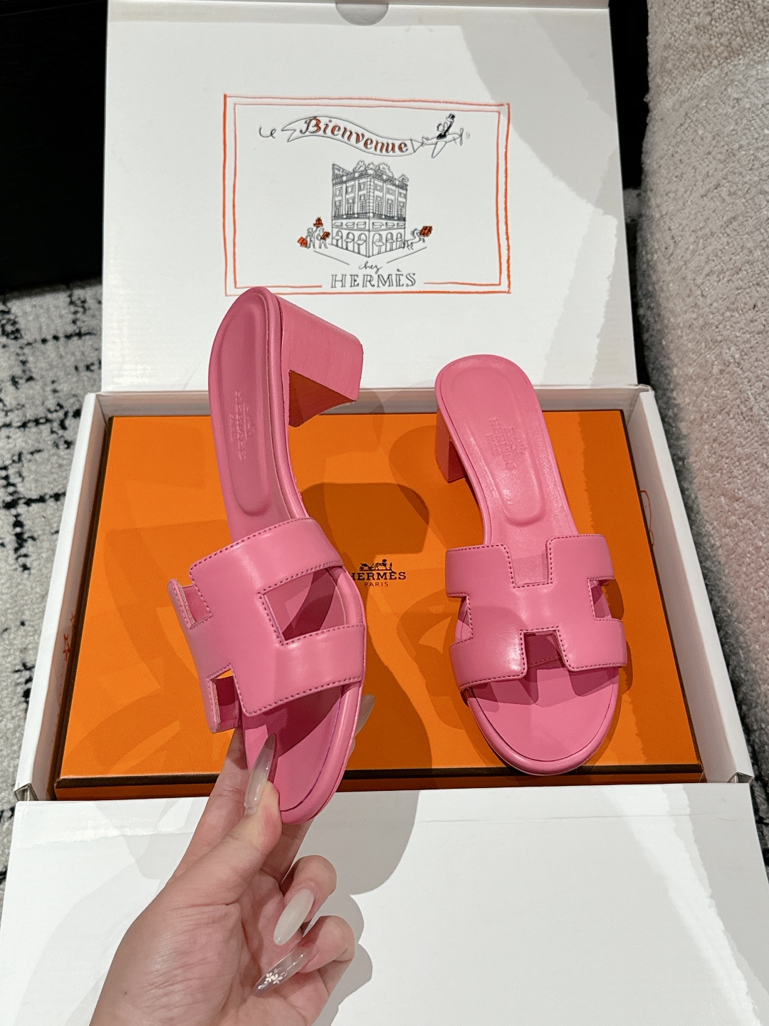 HERMES 01529 HERMES 01529
