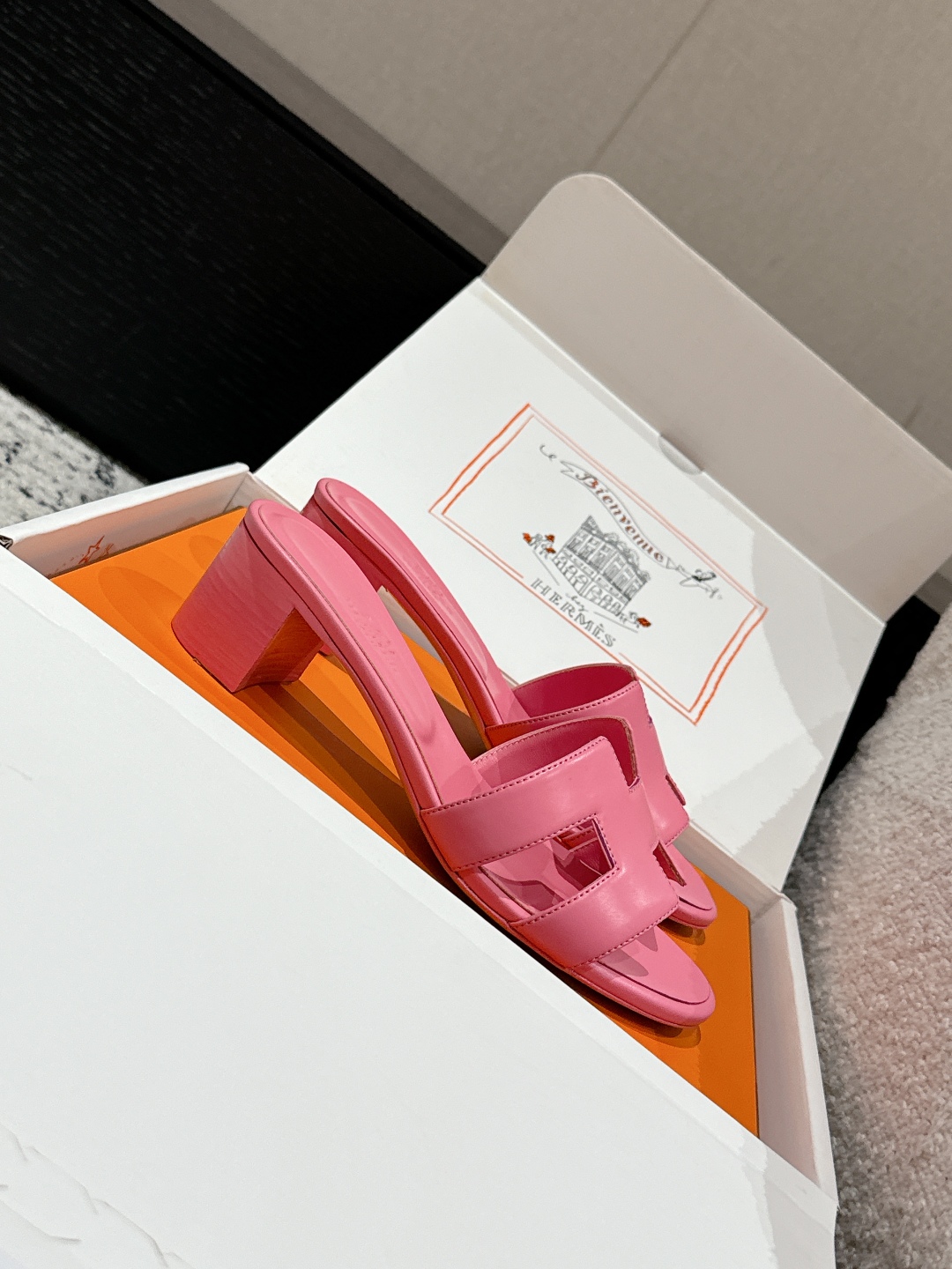 HERMES 01529 HERMES 01529