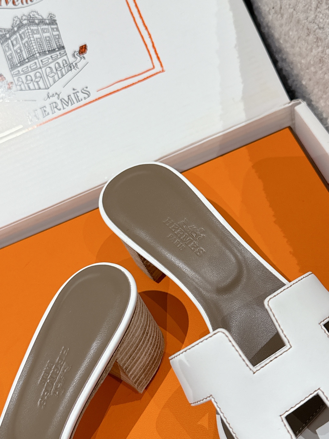 HERMES 01569 HERMES 01569
