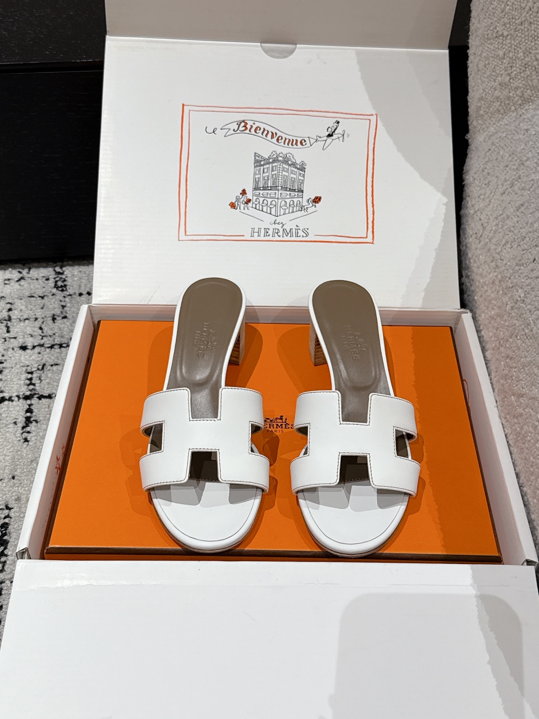 HERMES 01569 HERMES 01569