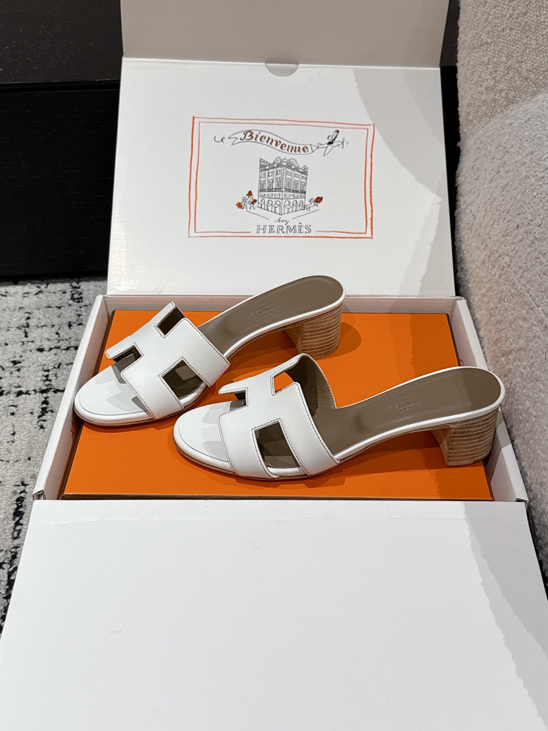 HERMES 01569 HERMES 01569