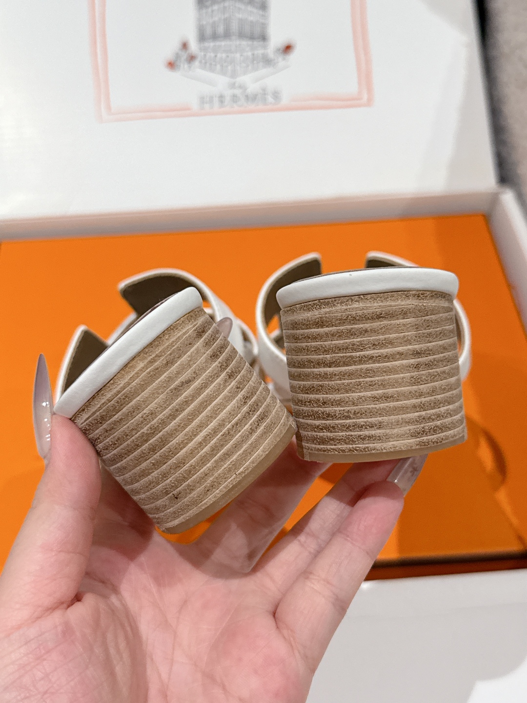HERMES 01569 HERMES 01569