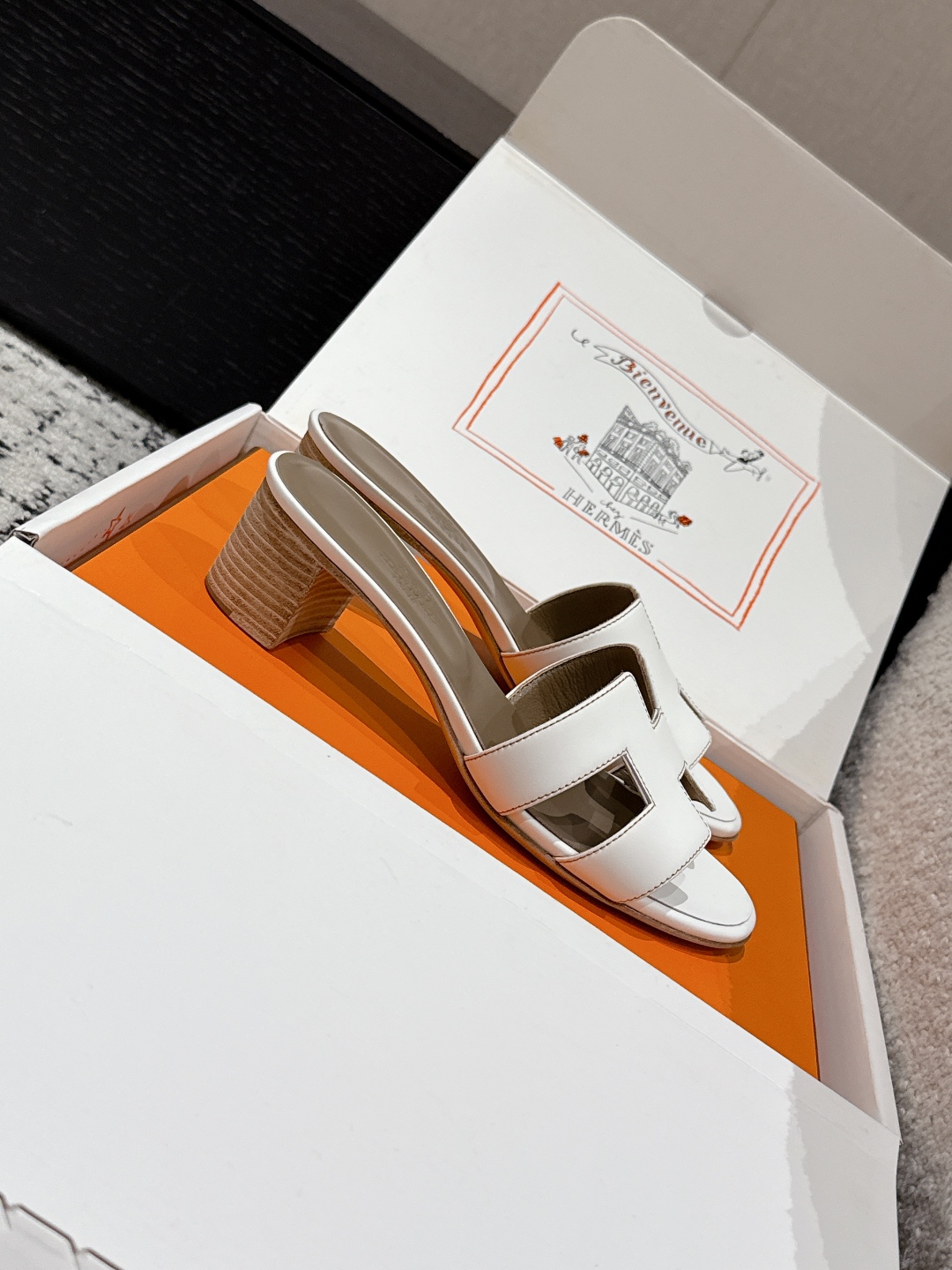 HERMES 01569 HERMES 01569