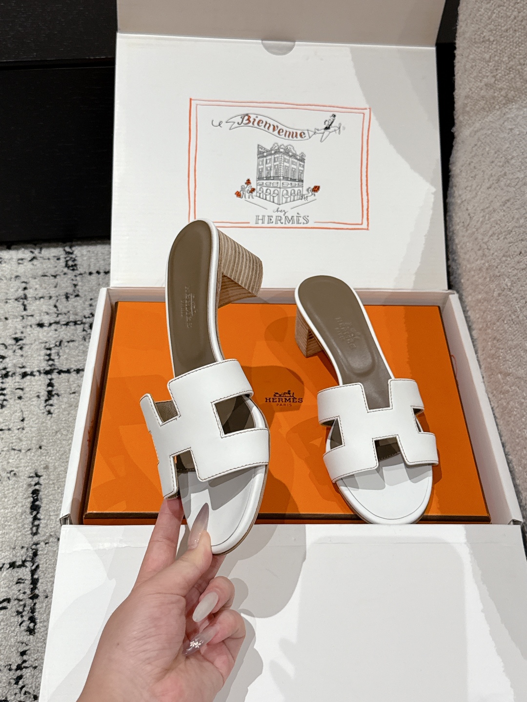 HERMES 01569 HERMES 01569