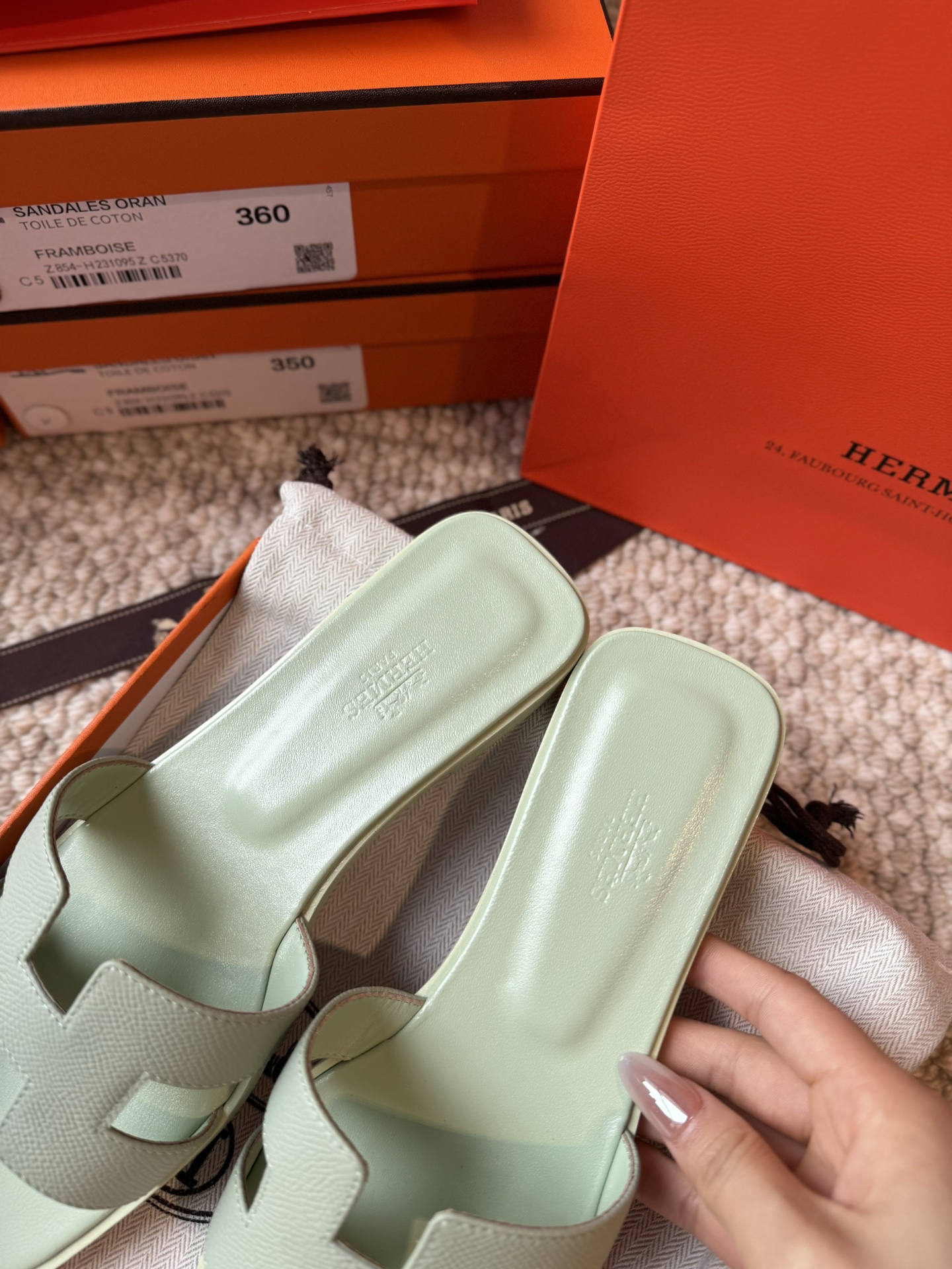 HERMES 01589
