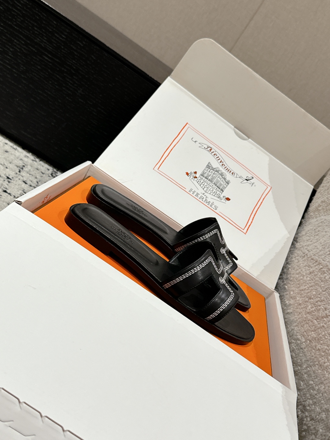 HERMES 01669 HERMES 01669