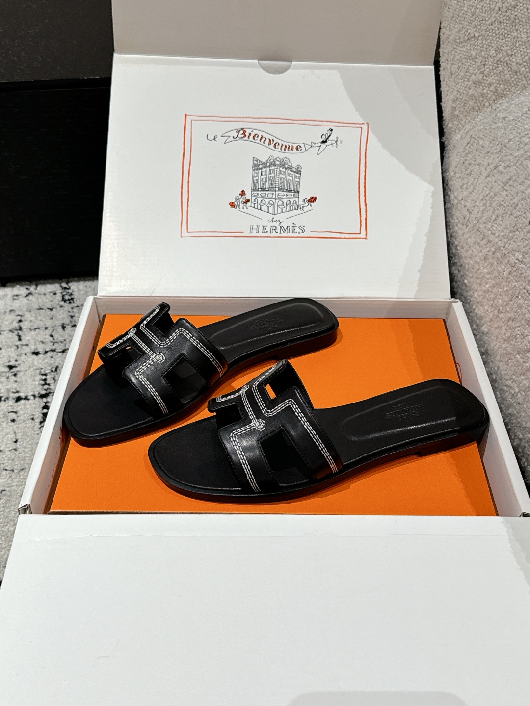 HERMES 01669 HERMES 01669