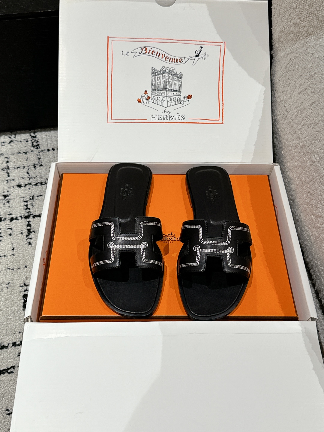 HERMES 01669 HERMES 01669
