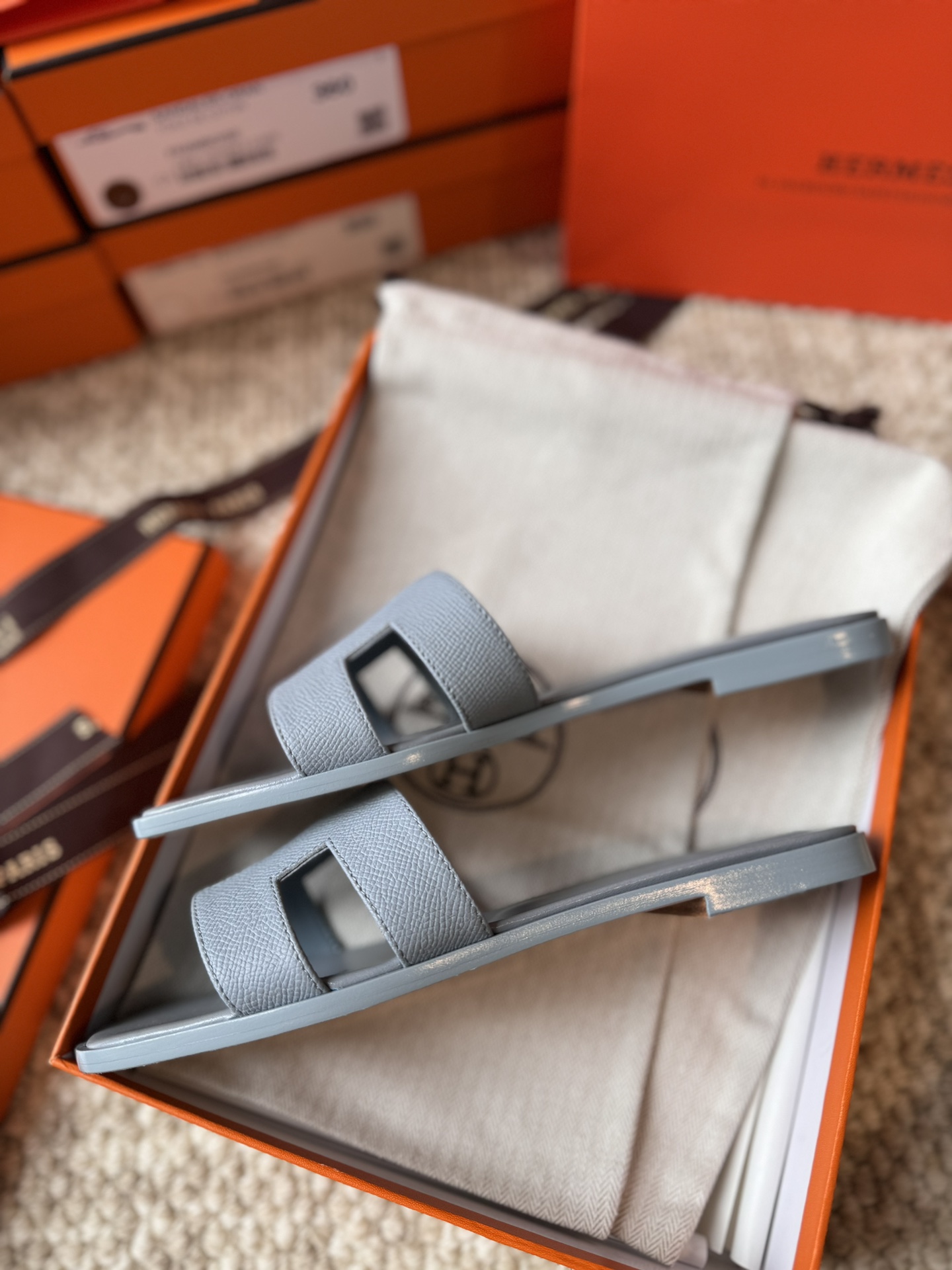 HERMES 01699
