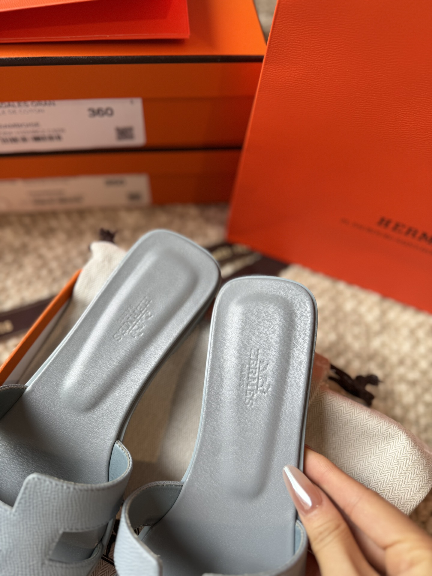 HERMES 01699
