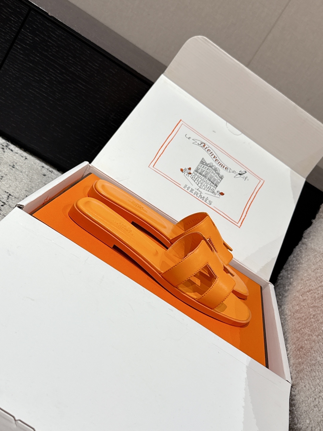 HERMES 01739 HERMES 01739