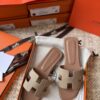 HERMES 01739