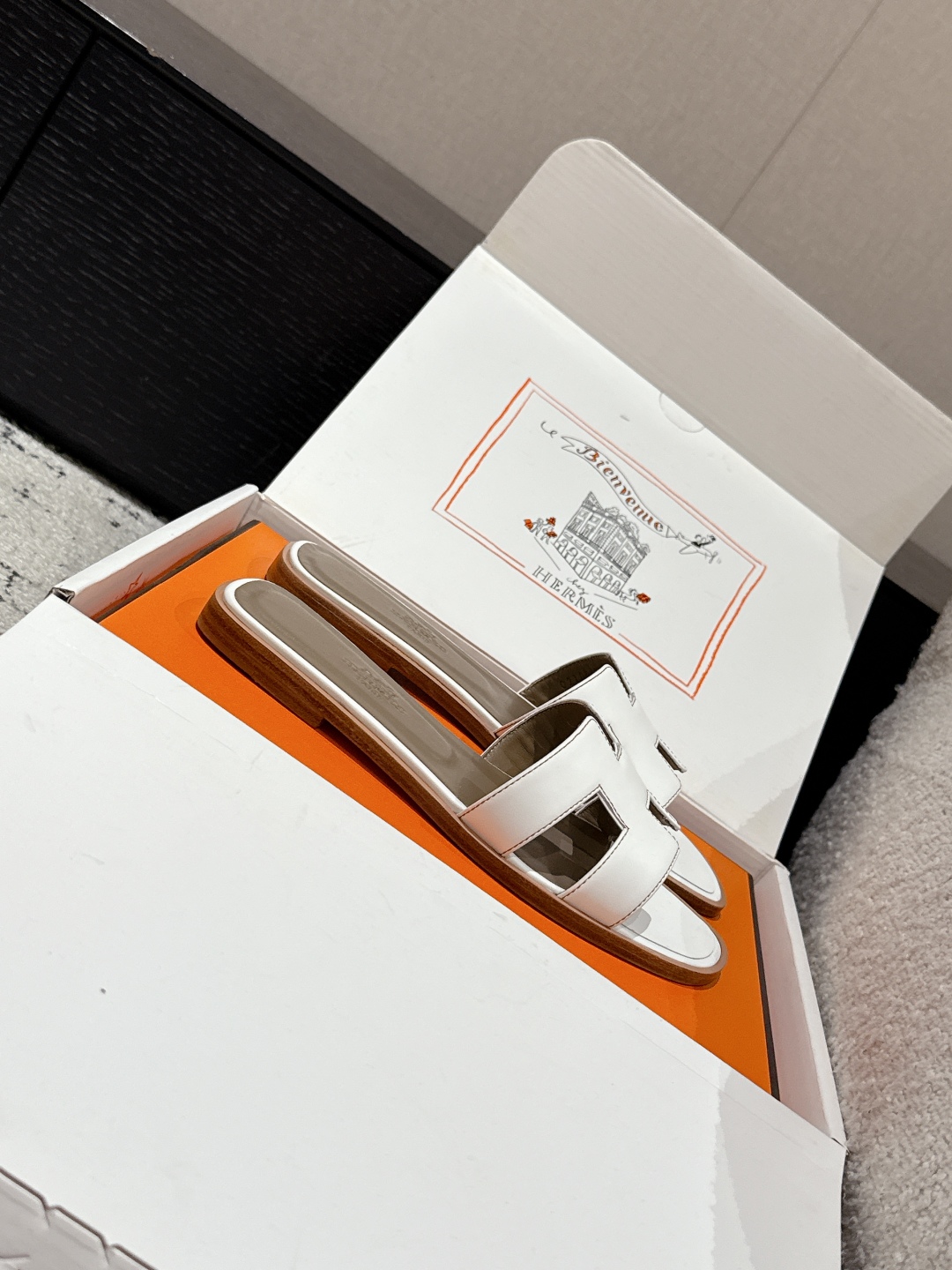 HERMES 01769 HERMES 01769