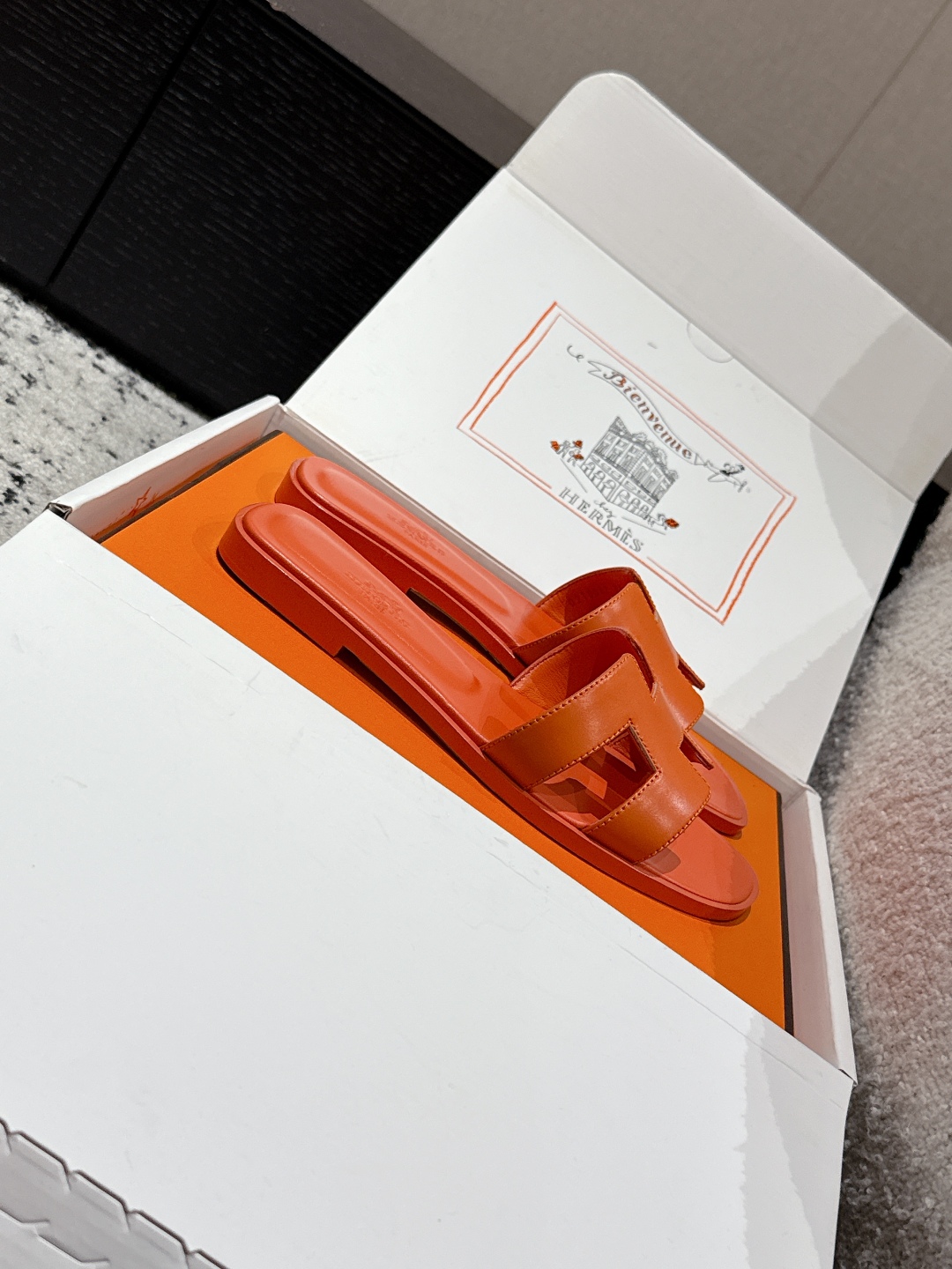 HERMES 01859 HERMES 01859