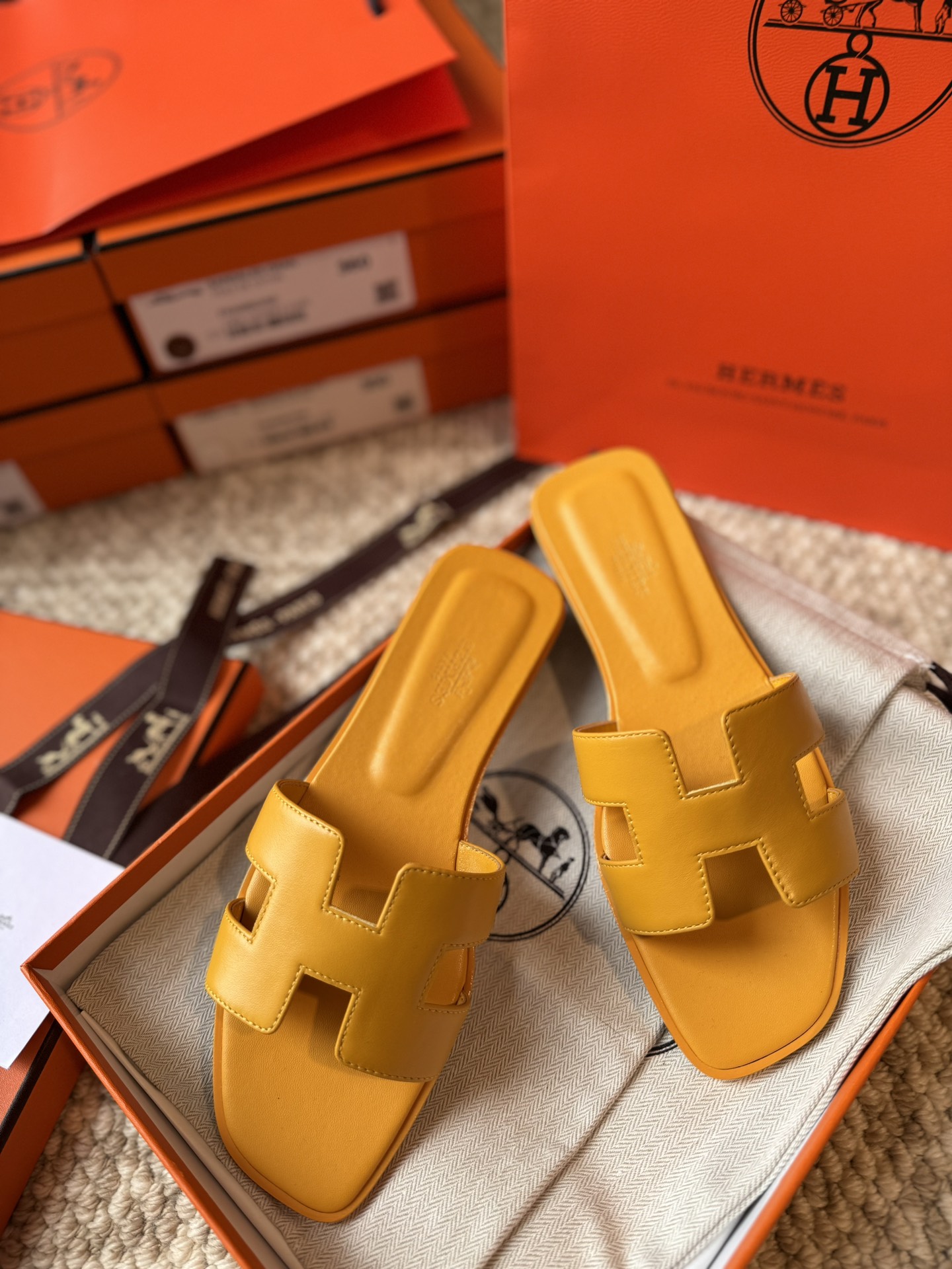 HERMES 01869 HERMES 01869
