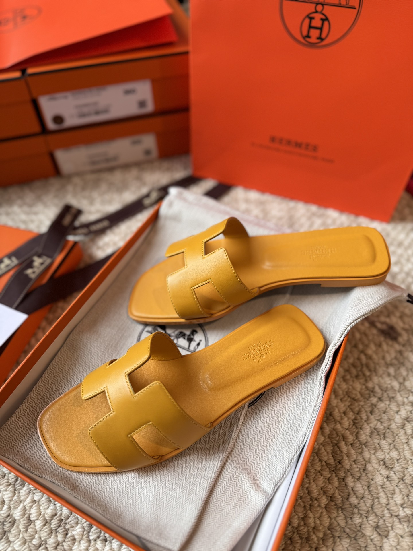 HERMES 01869 HERMES 01869