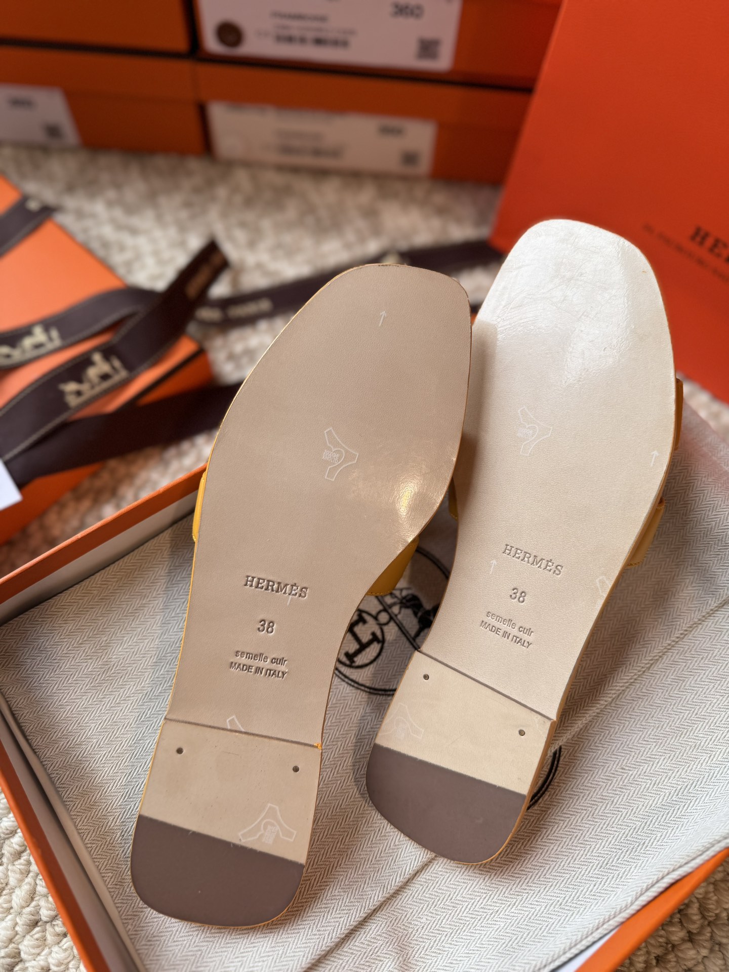 HERMES 01869 HERMES 01869