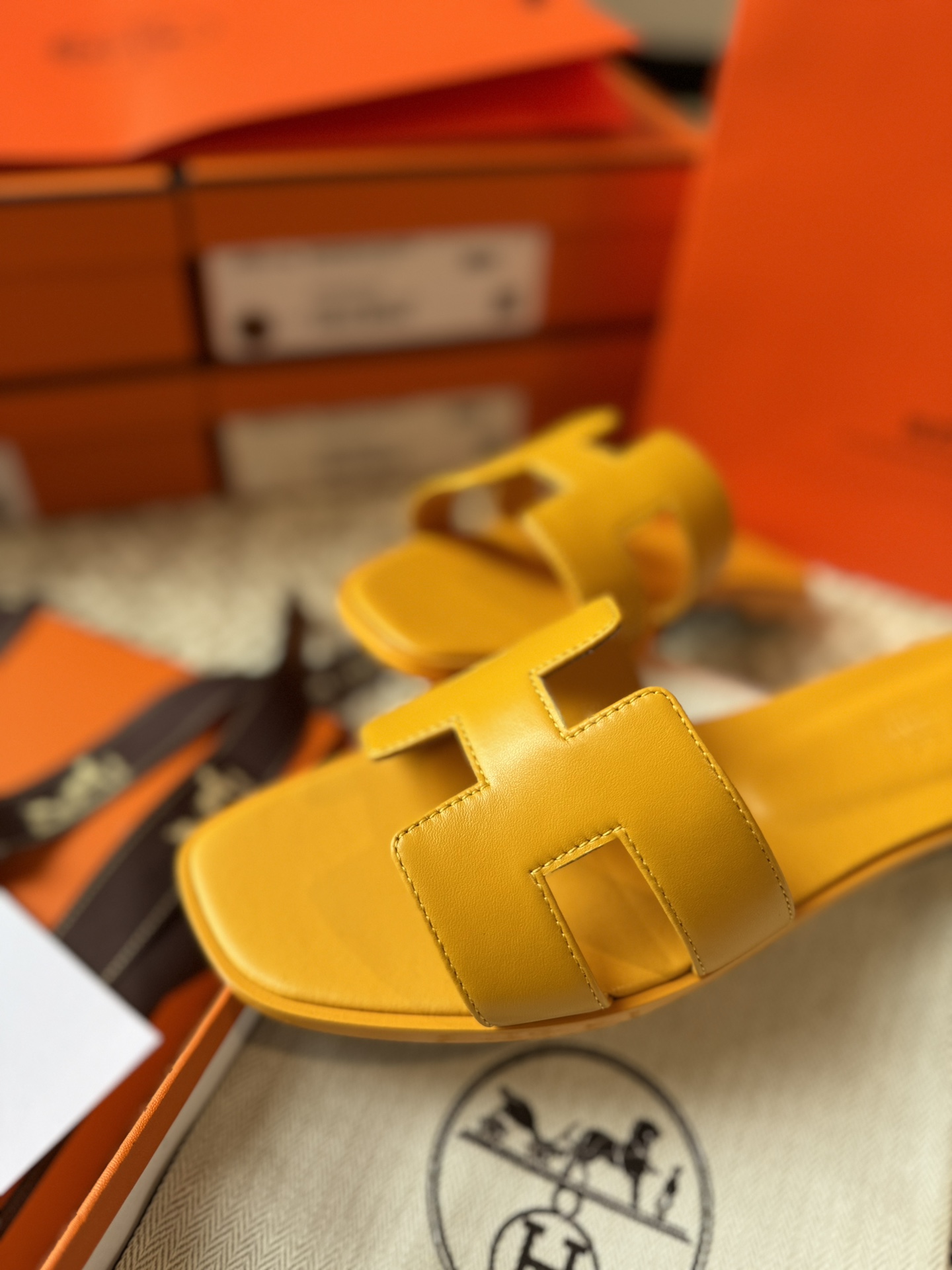 HERMES 01869 HERMES 01869