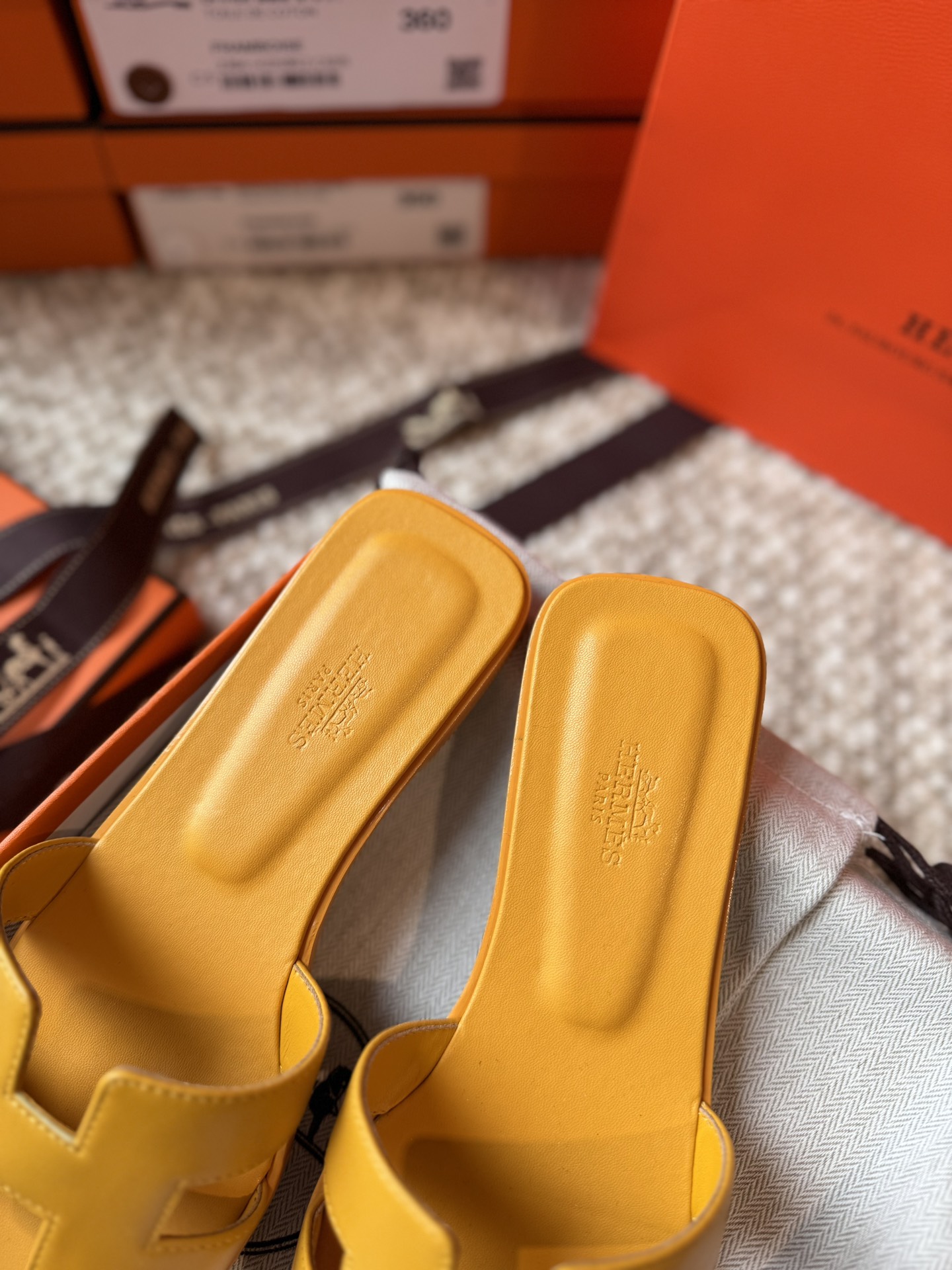 HERMES 01869 HERMES 01869