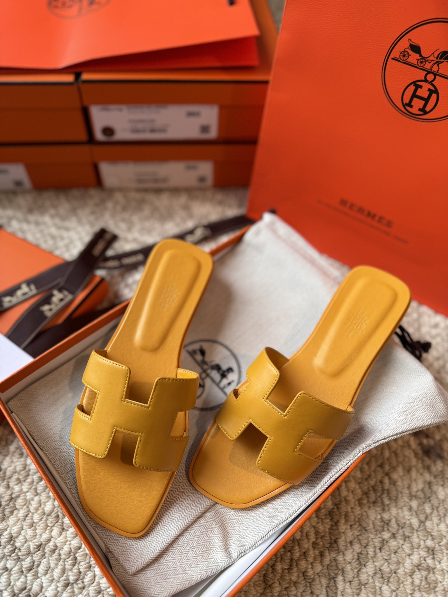 HERMES 01869 HERMES 01869