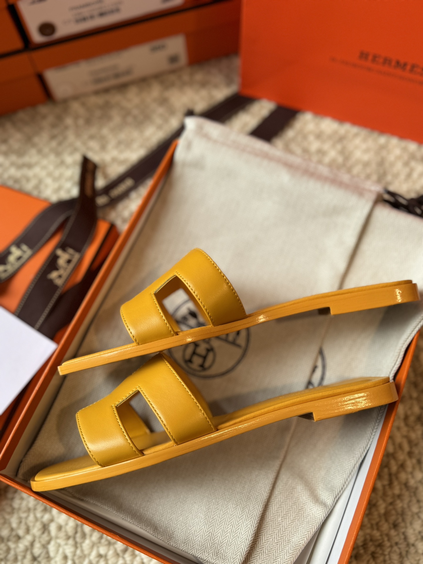 HERMES 01869 HERMES 01869