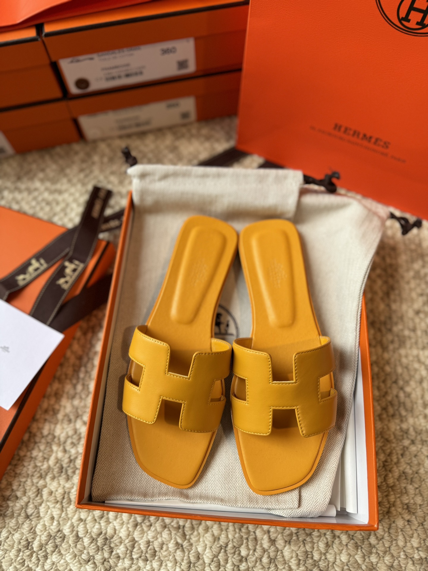 HERMES 01869 HERMES 01869